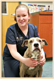 Megan profile Dr Megan Odgers